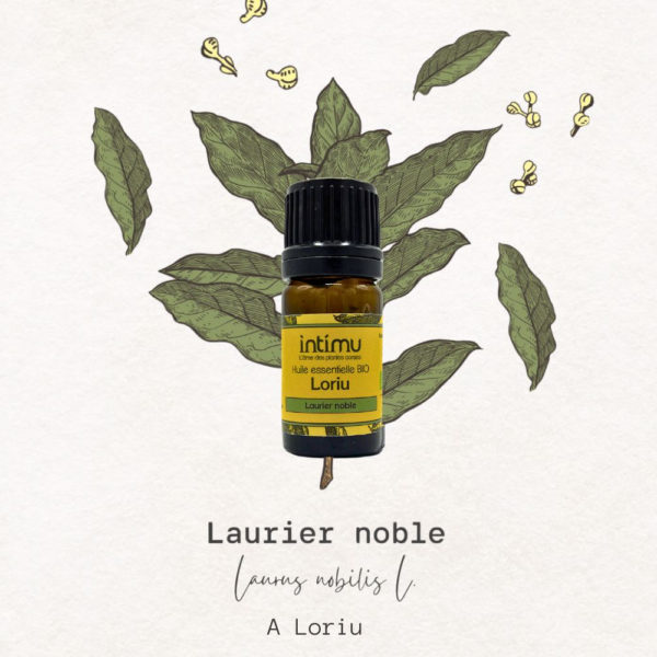 Intimu - Huile essentielle BIO de Laurier Noble - Image 2