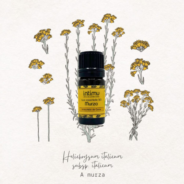 Intimu - Huile essentielle BIO d'Immortelle corse - Image 2